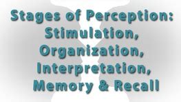 Perception 的图像结果