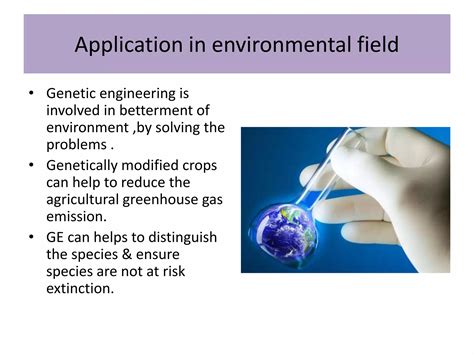 Application of Genetic Engineering 的图像结果