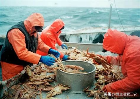 中国水产有限公司-远洋捕捞