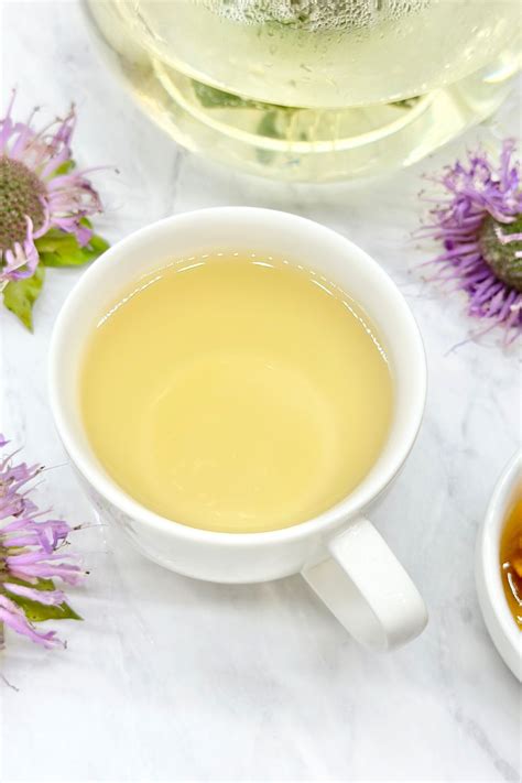 How to Make Bee Balm Tea (with fresh leaves and flowers) - Daily Tea Time