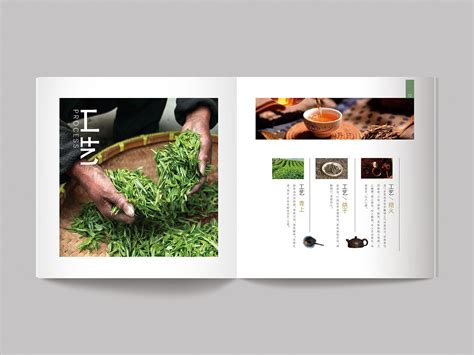 武夷山茶产品宣传册设计,宣传册设计模板,产品宣传册设计哪家好-顺时针画册设计公司