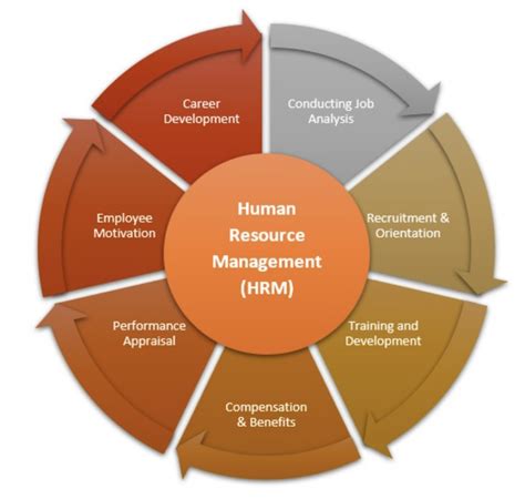 Human Resources Function 的图像结果