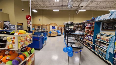 Volunteer Guide — Desert Paws Rescue