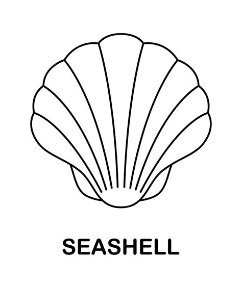 Seashell Coloring Pages