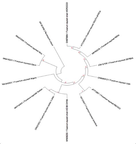 Agronomic and disease responses of three watermelon (citrilus lanatus l ...