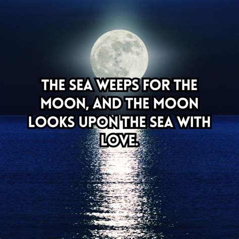 75+ Captivating Moon and Sea Quotes & Captions