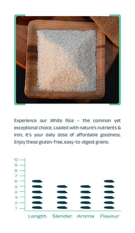 Premium Indian White Rice Exporter | Halder Venture Limited