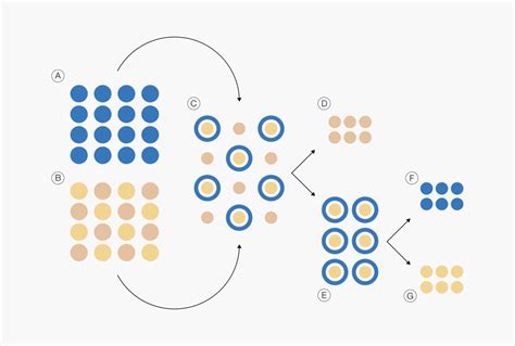 Image result for Stevia Process