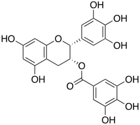 Natural Products Targeting Amyloid Beta in Alzheimer’s Disease
