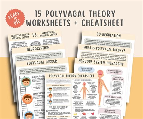 Polyvagal Theory Cheatsheet Worksheets – MindSpacePrintables