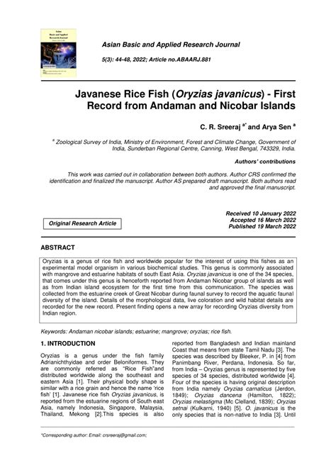 Java Rice Fish 的图像结果