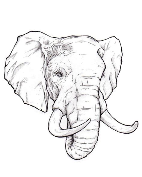 elephant drawing in easy