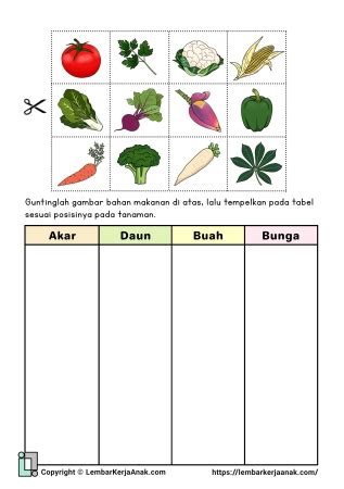 Image result for C Programming Structure Examples