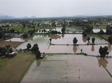 IMD issues orange alert in 8 districts of Gujarat