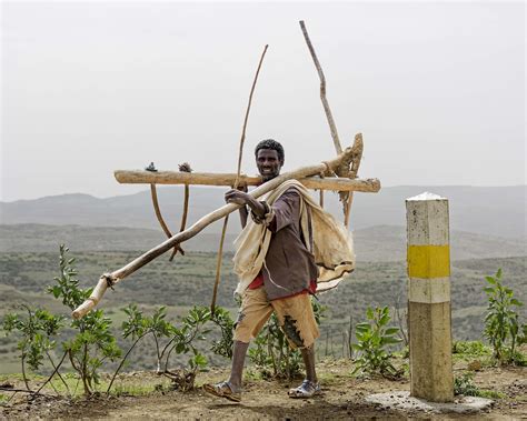 Agri Engineering 的图像结果
