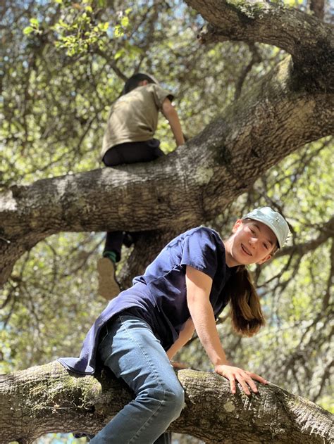 Adventure Camp 的图像结果