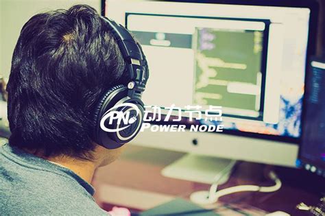 Focus On Java 的图像结果