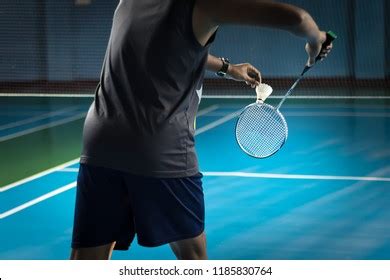 People Playing Badminton 的图像结果