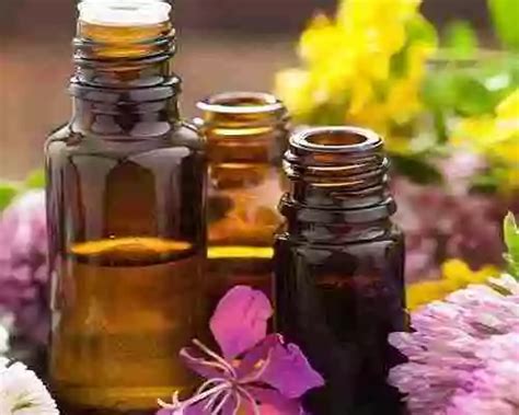 Aromatherapy Oils for Anxiety, Depression | AOS Blog