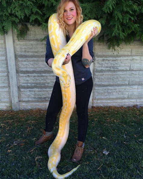 Yellow | Pretty snakes, Cute snake, Pet snake