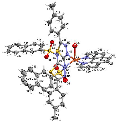 New Copper Complexes with Antibacterial and Cytotoxic Activity