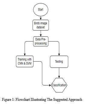 Bird Species Classification Using MATLAB 的图像结果
