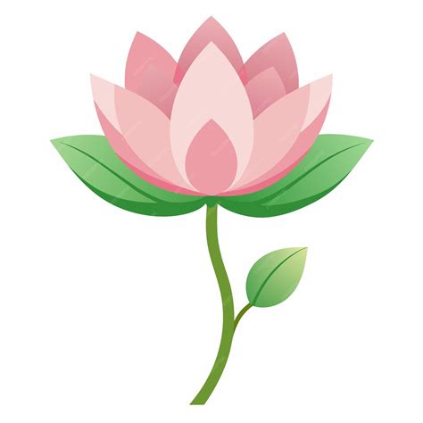 Premium Vector | Lotus Flower vector art illustration 16