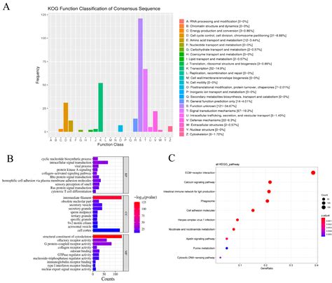 Comparative Genomic Analysis Across Multiple Species to Identify ...