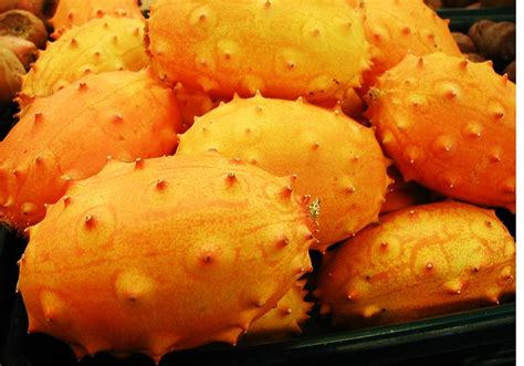 Unknown Fruits of India [1 min read]