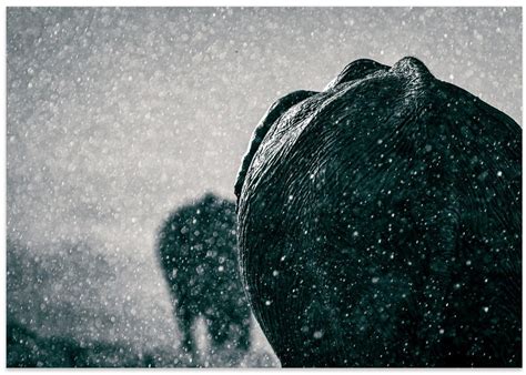 Rainy season | Art Gallerie – IndiArtGallery