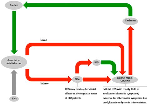 Brain Sciences | Special Issue : Deep Brain Stimulation (DBS) Applications