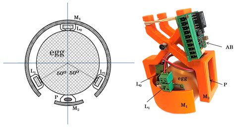 Non-Invasive PPG-Based System for Continuous Heart Rate Monitoring of ...