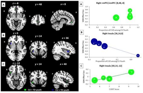 A Meta-Analysis of fMRI Studies of Youth Cannabis Use: Alterations in ...