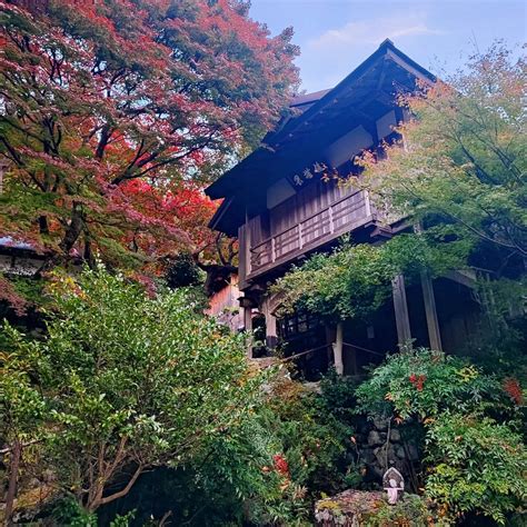 TENKAIZAN TAIUN-JI TEMPLE (2025) All You Need to Know BEFORE You Go ...