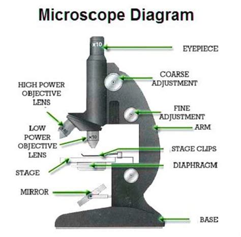 Image result for Compound Microscope Ray Tracing