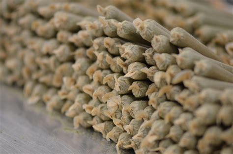 Home - Prism Triangle LLC