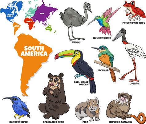 South American Animals