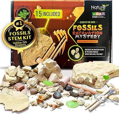 Nature Gear Dino Fossil Dig Kit for Kids, India | Ubuy