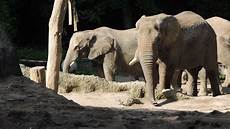 zootiere malvorlagen quotes 37 afrika bilder kostenlos ausdrucken besten bilder zootiere malvorlagen quotes 37 afrika bilder kostenlos ausdrucken besten bilder