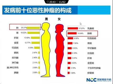 中国十大高发癌症排名 恶性肿瘤发病率排名_查查吧