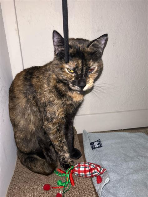 Please help me : r/CATHELP