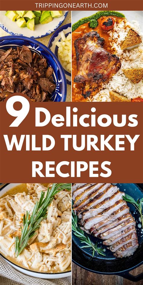 9 Wild Turkey Recipes To Cook For A Hearty Dinner - Tripping on Earth