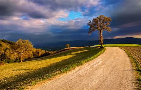 Download wallpaper the sky, clouds, light, clouds, nature, tree, field ...