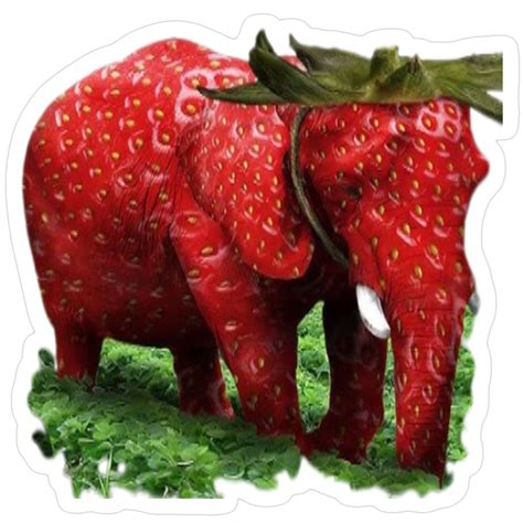 Strawberry Elephant Meme