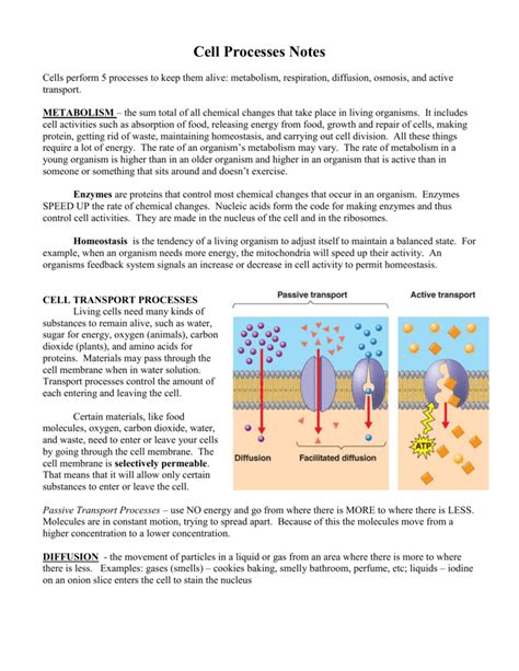 Process Body 的图像结果