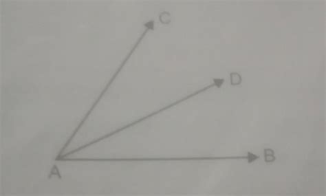 AD bisects angle CAB.if angle CAD=(8x+6)°and angle DAB=(x+20°),what is ...