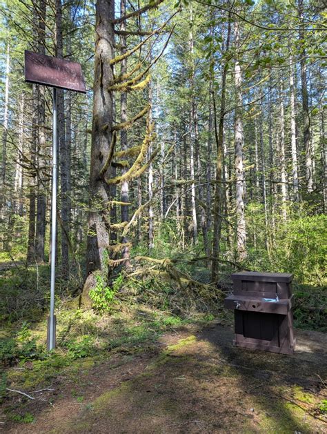 Mount Baker-Snoqualmie National Forest | Beckler River Campground ...