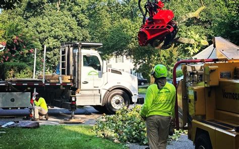 Image result for Remote Control Tree Removal