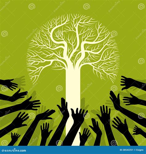 Tree Environment 的图像结果