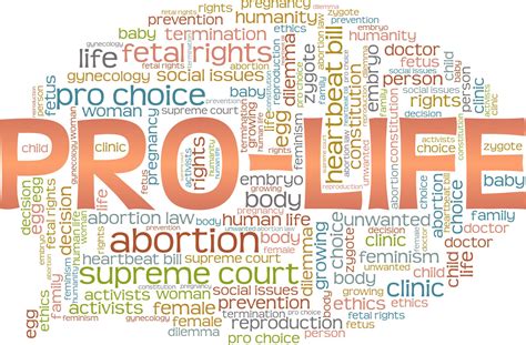 2922. A Pro-Choice Ad for Missouri Amendment 3 Featuring a Woman in a ...